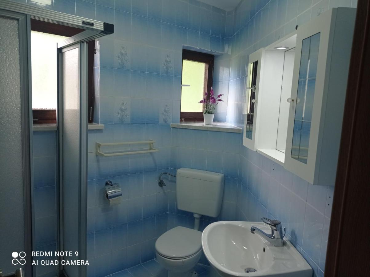 Apartments Lake Bohinj Medja Экстерьер фото